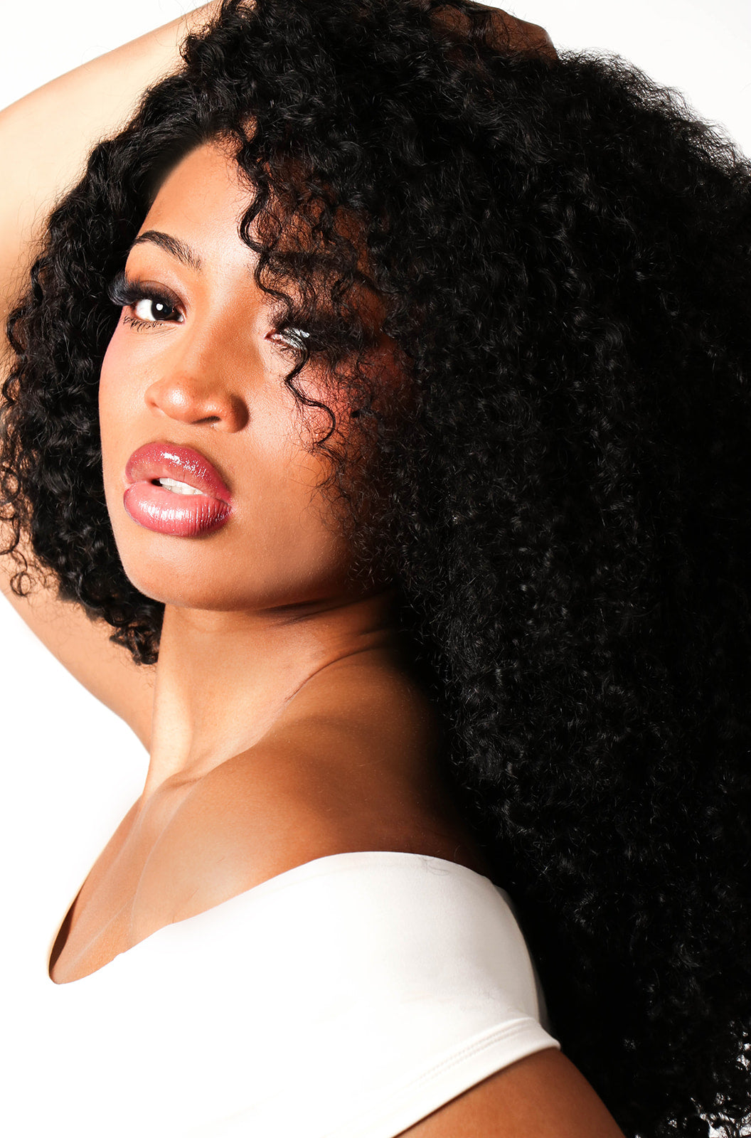 RAW BURMESE CURLY